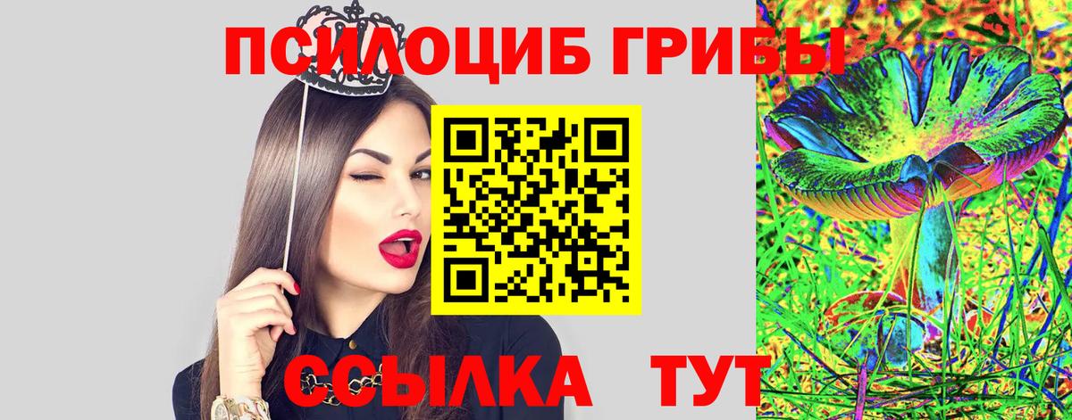 Галлюциногенные грибы Psilocybe  Вход с VPN  Псилоцибиновые грибы прущие грибы  Славянск-на-Кубани 
