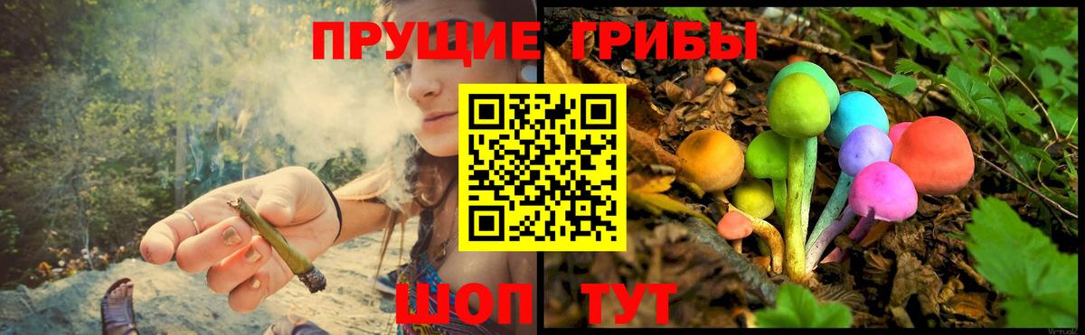 Псилоцибиновые грибы Psilocybine cubensis Славянск-на-Кубани